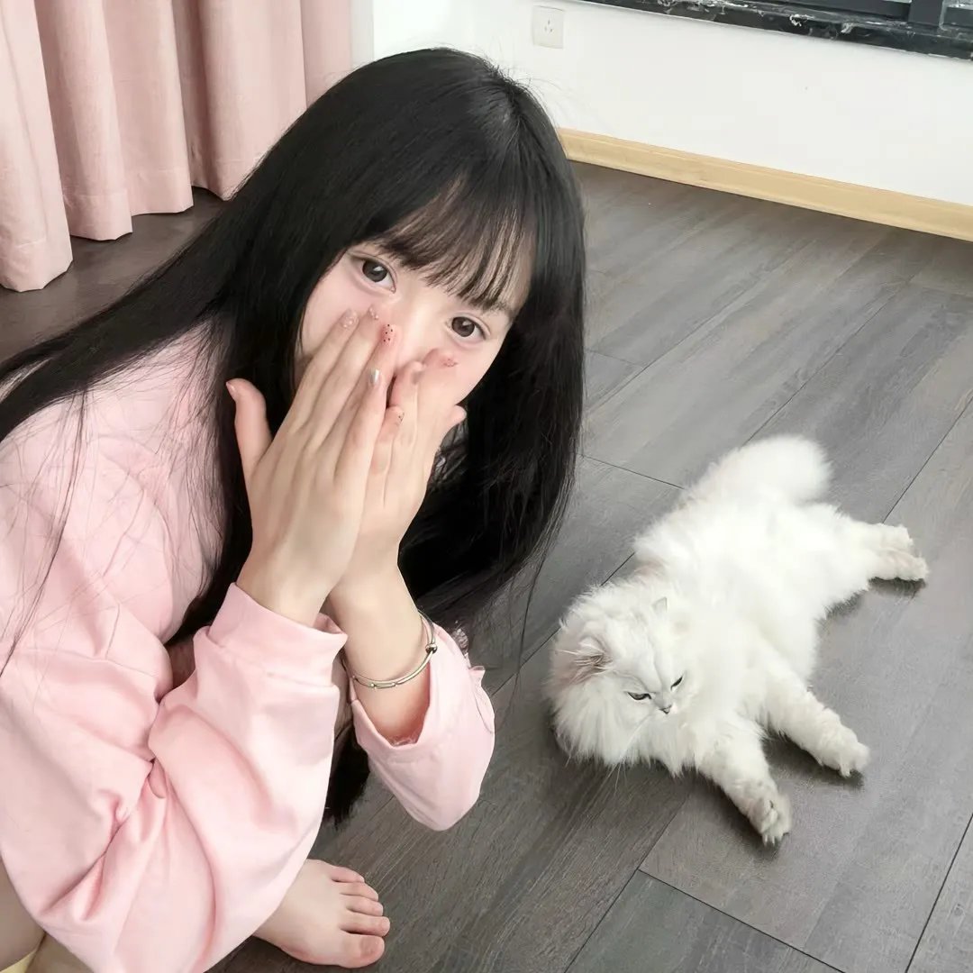 猫城